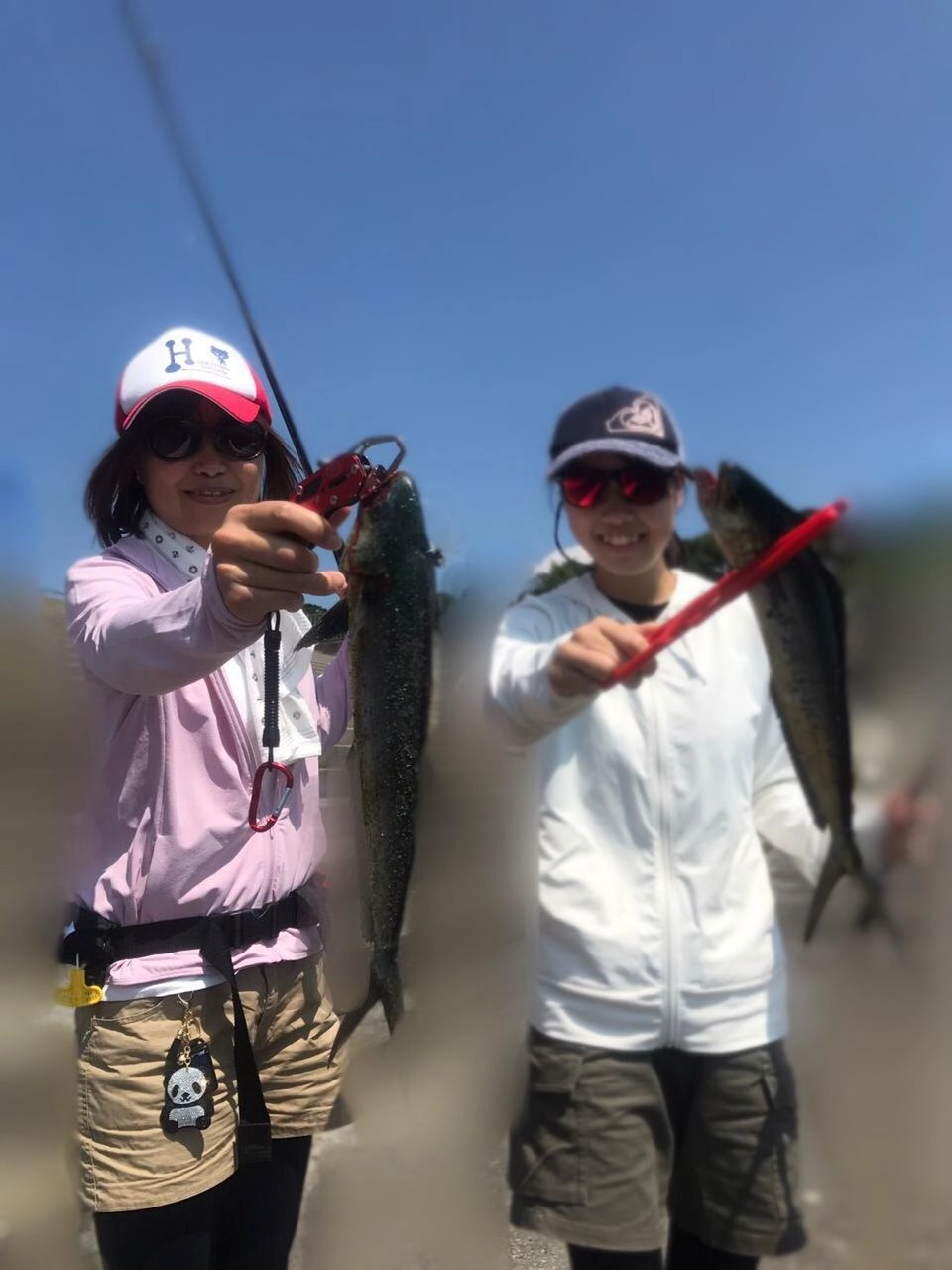 足元に回遊した際はジグを落として軽くしゃくるだけで釣れました♪
