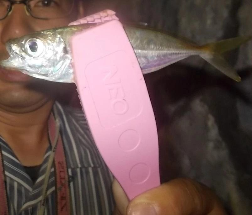 この大きさのアジになってくるとお尻のトゲトゲが痛い！お魚グリップは必須ですよ～