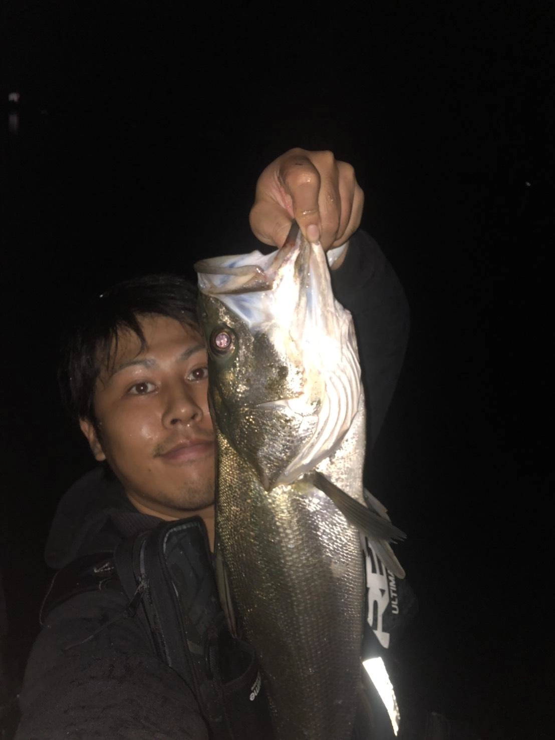 奥浜名湖シーバス釣れてきました。