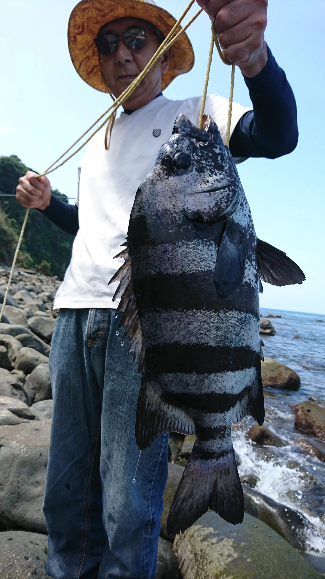 良型のイシダイの釣果です！潮どまりのタイミングでヒットしました！