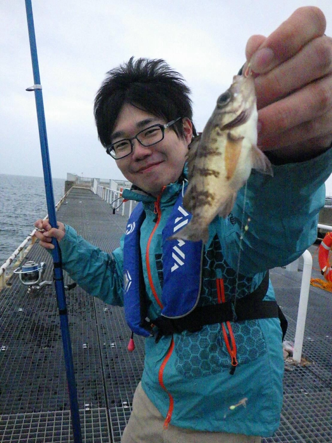 サビキにメバルが喰ってきました！