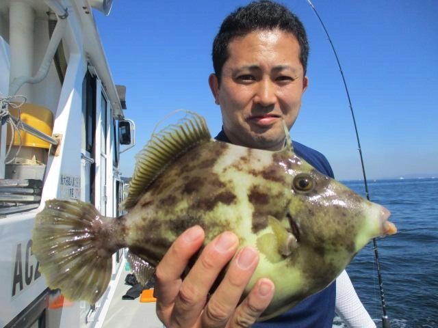 こちらの新規様はカワハギ釣り初挑戦 貸し竿で❷❾㌢のドデカハギを釣りましたよッ(°▽°)