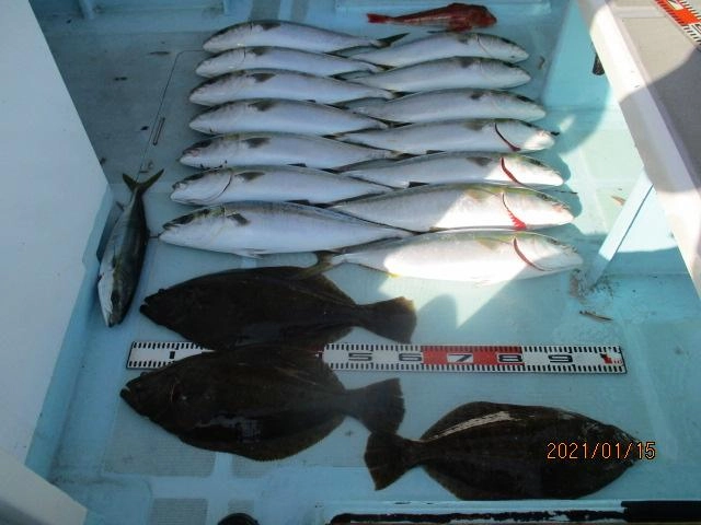 全体釣果ですッ(^-^)肉厚寒ビラメ、ワラサ 、ハマチ、ホウボウでしたッ(^-^)
