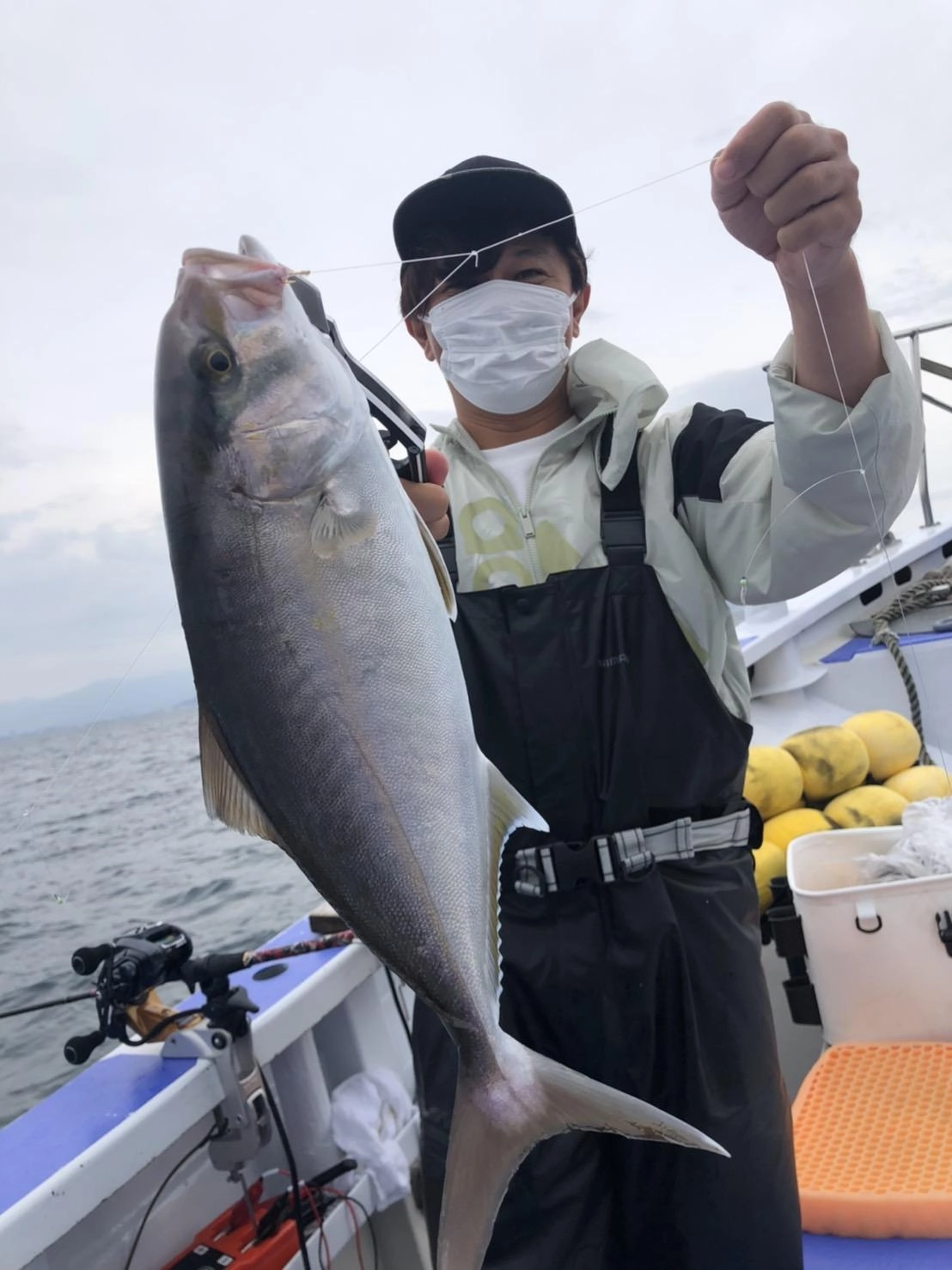 アジの泳がせ、喰わせサビキ(落とし込み釣り)で良型のカンパチが釣れています!!