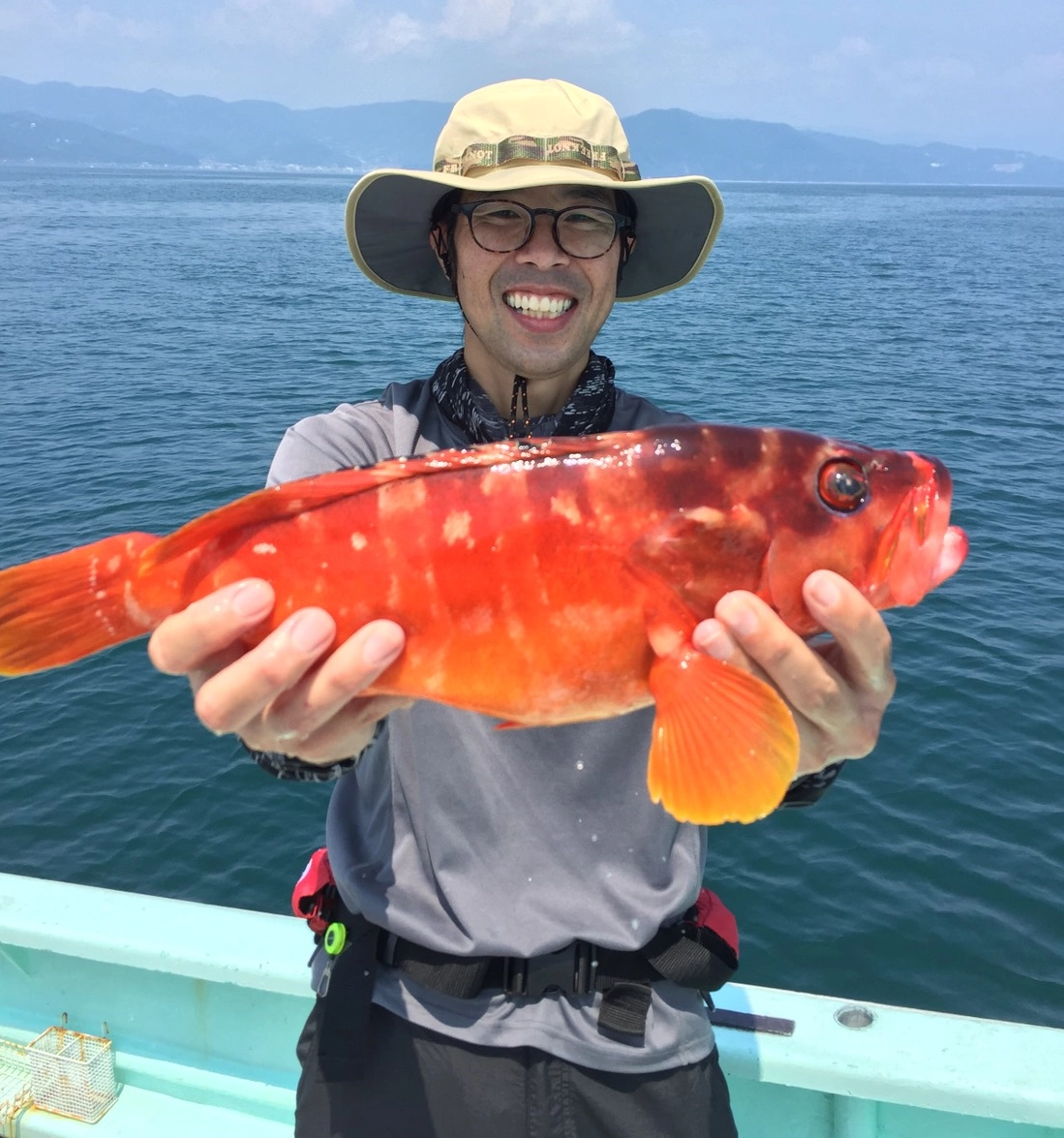 アカハタ40㎝オーバー釣れてます！