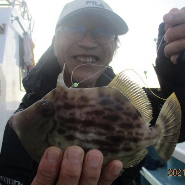 こちらのお客様は『純粋カワハギ釣り』初挑戦でしたがデカハギ狩りッ(・∀・)