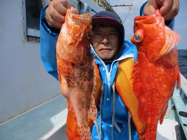 こちらのお客様はデカ鬼カサゴ、デカウッカリカサゴと釣り上げましたよッ(^-^)