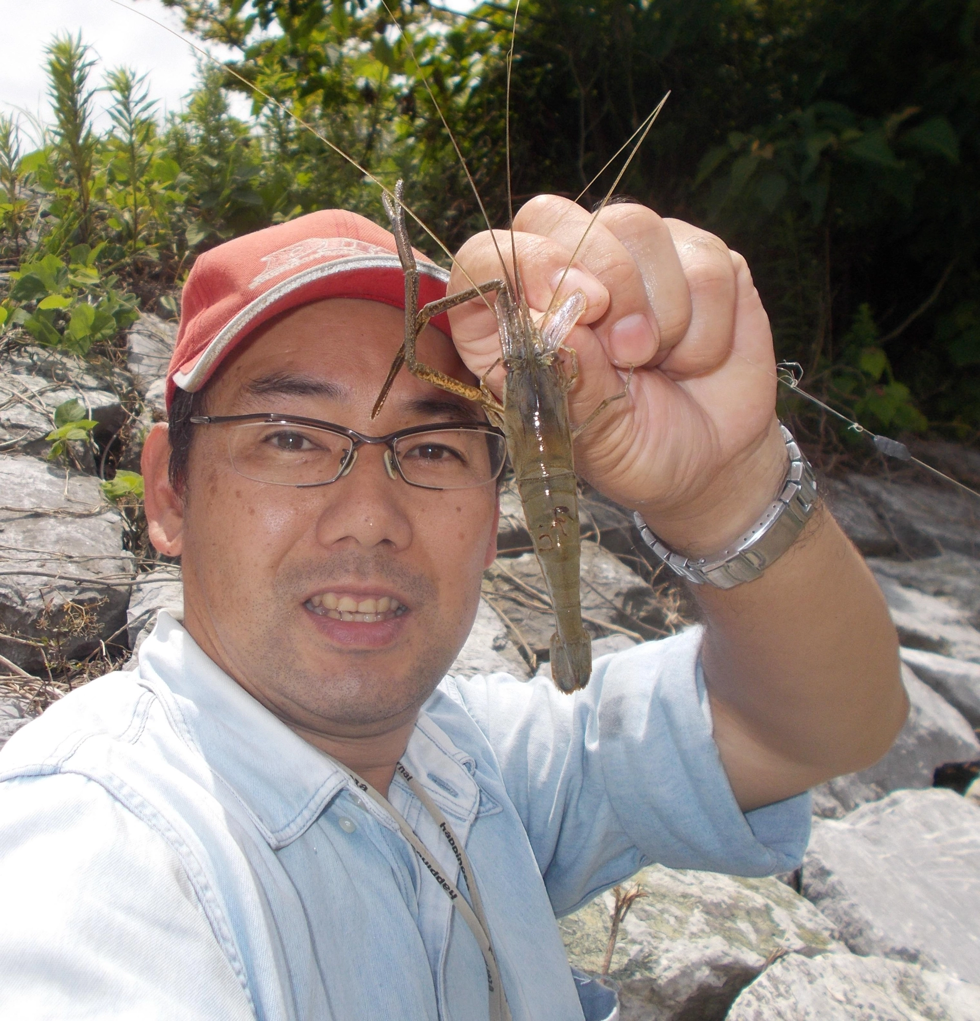 浅いところでもエビが釣れるようになりました。BIGサイズも釣れるので強烈な引きを体験できますよ。※６月９日・10日は漕艇場の駐車場が使用できませんご注意ください。
