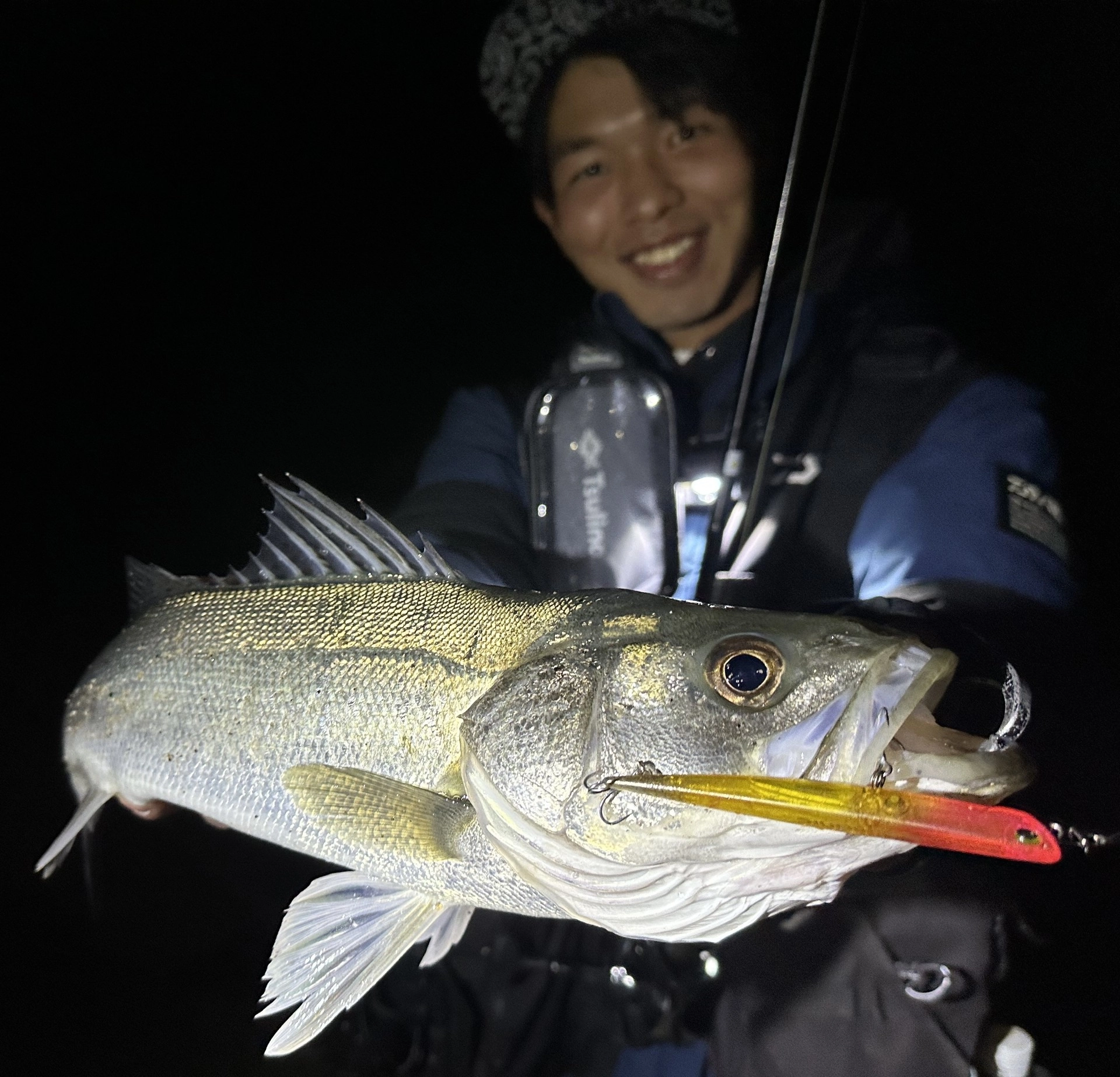 衣浦エリアバチ抜け本格シーズン！ シーバスも活性上がってきました