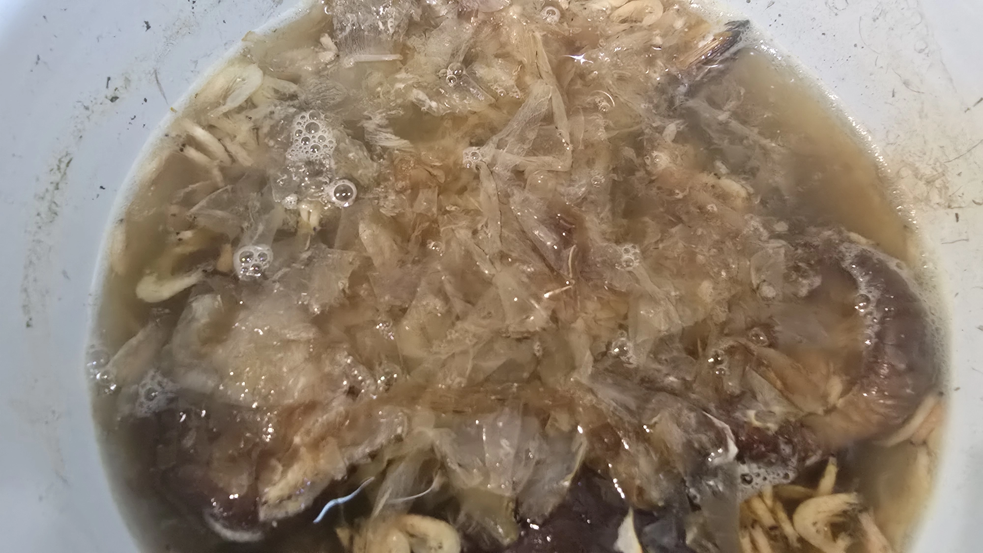 塩ラーメンのカエシ