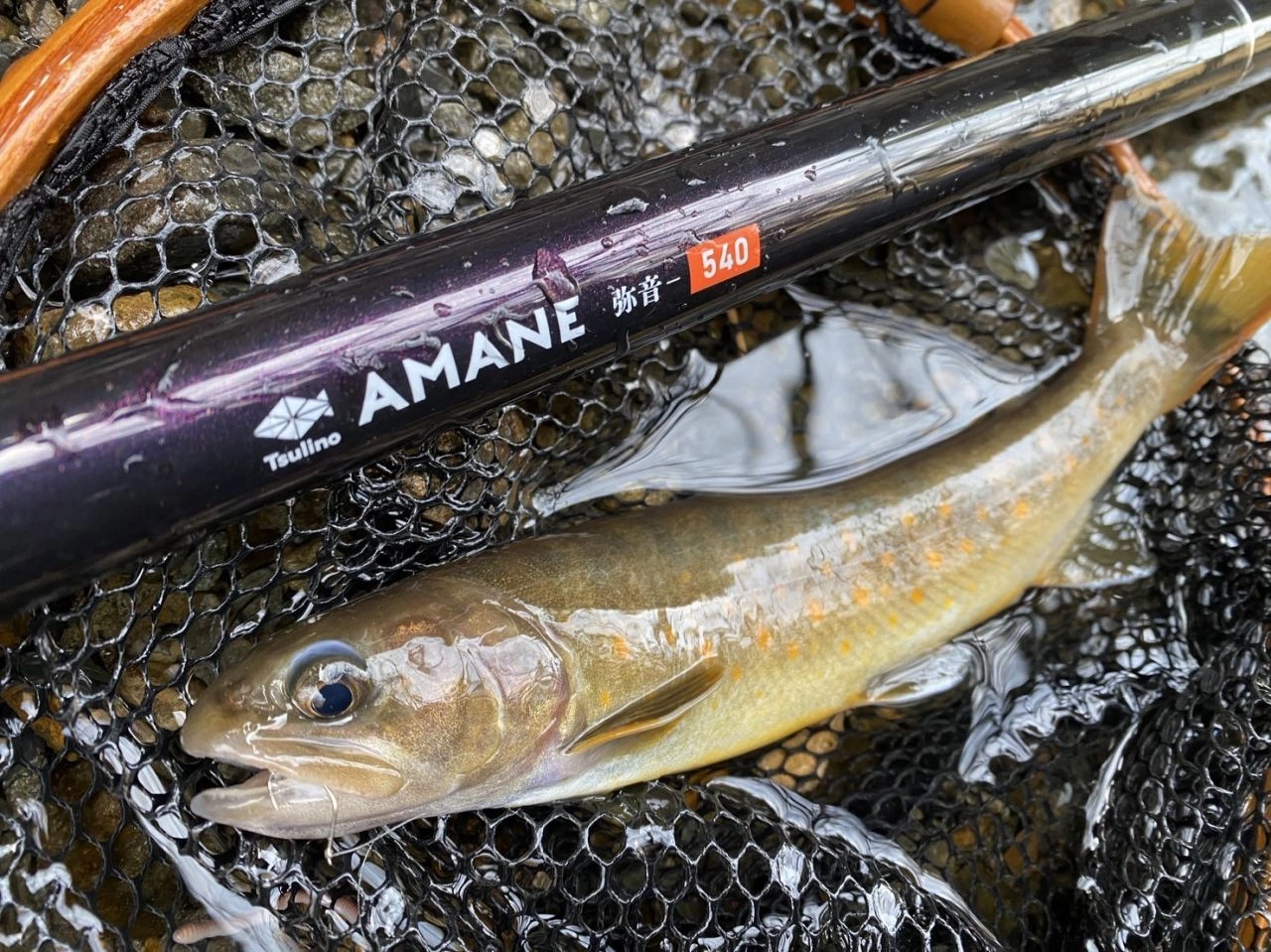 渓流エサ釣り | 釣具のイシグロ | 釣り情報サイト