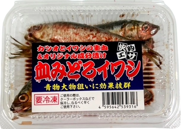 彦根店釣果情報 三重県の海上釣堀「正徳丸」さまへ行ってきました
