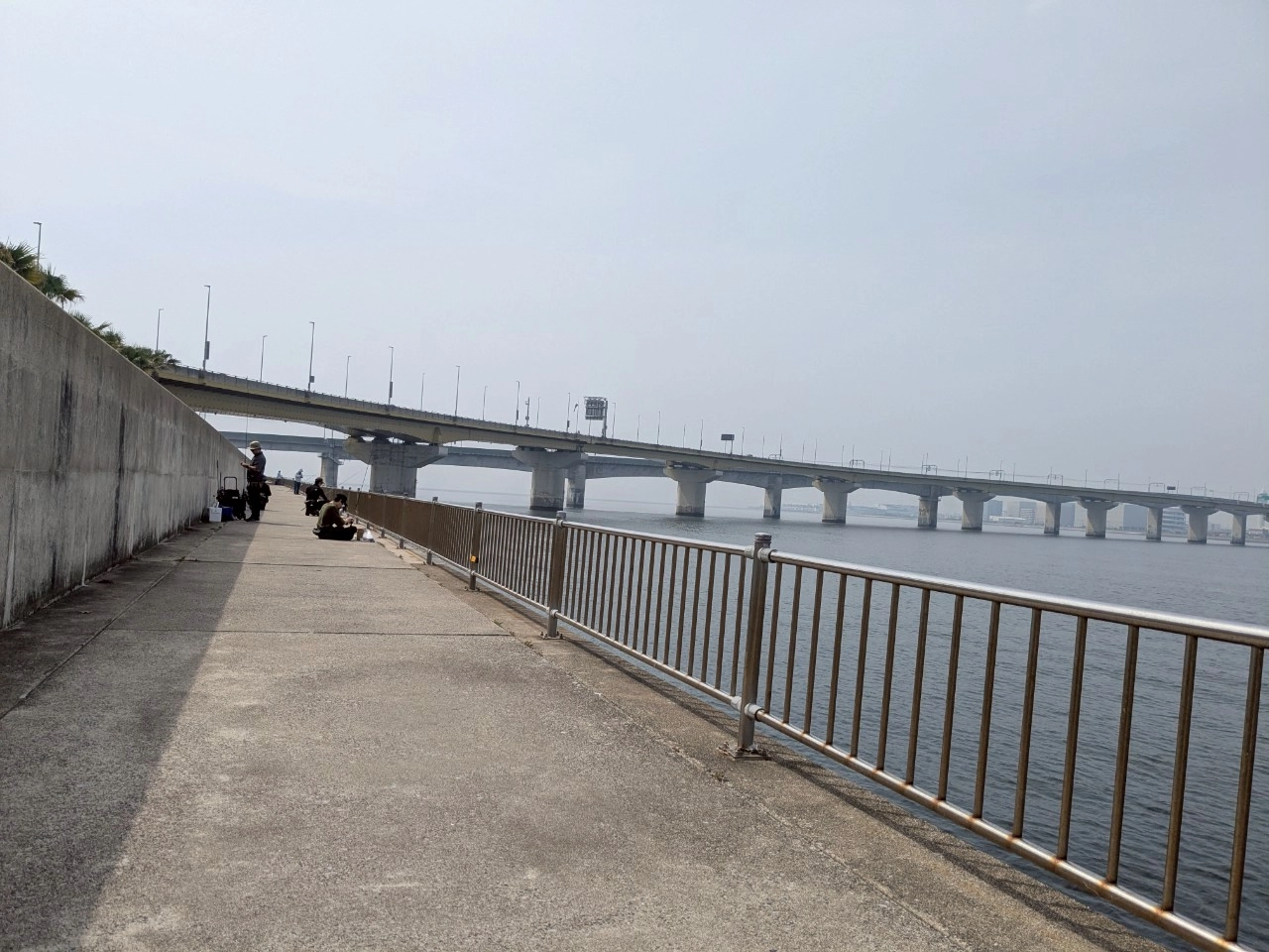 りんくう釣り護岸