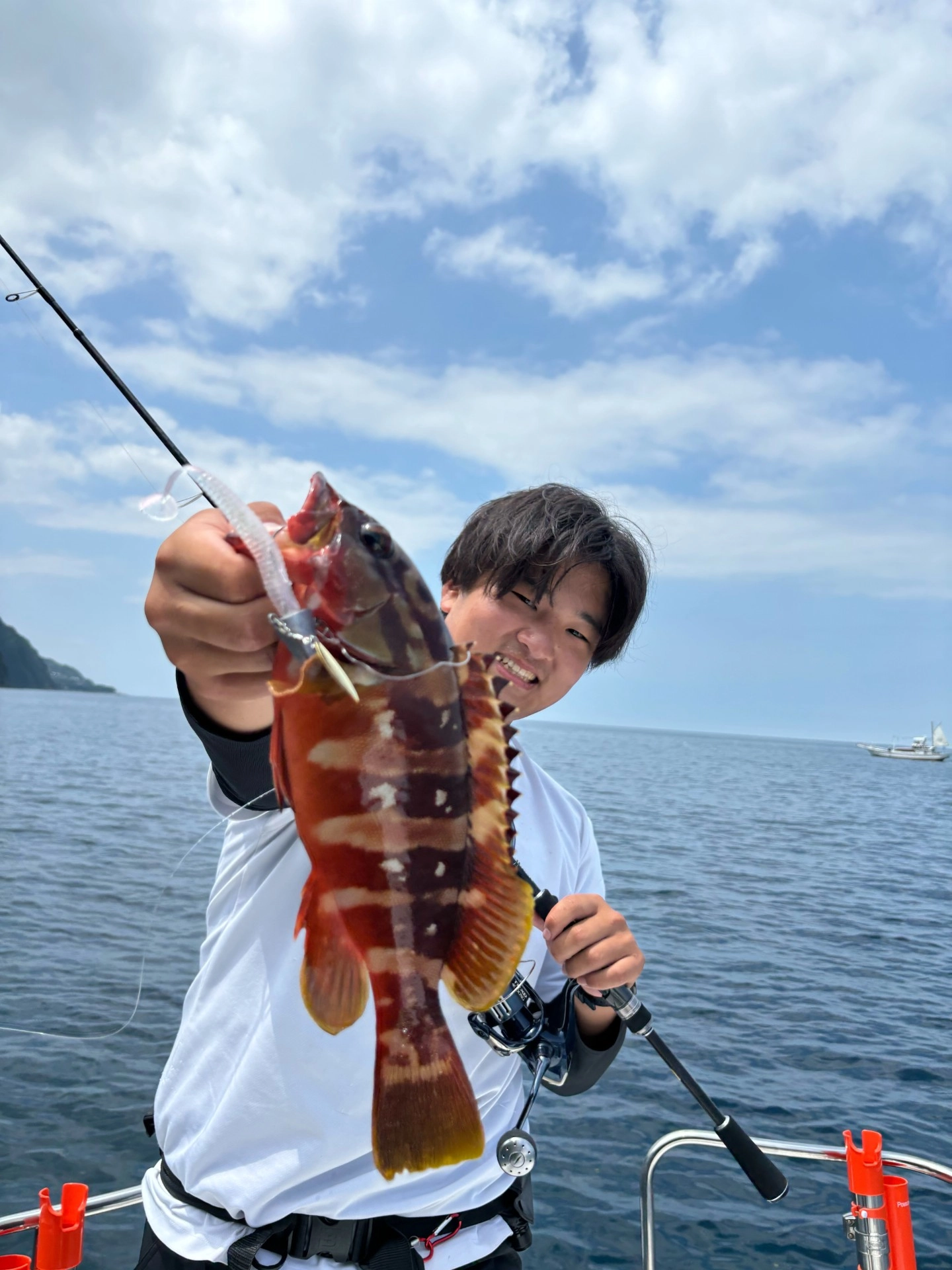 沼津湾内アカハタ好調！！Tsulinoワームで連発！！ | 釣具のイシグロ