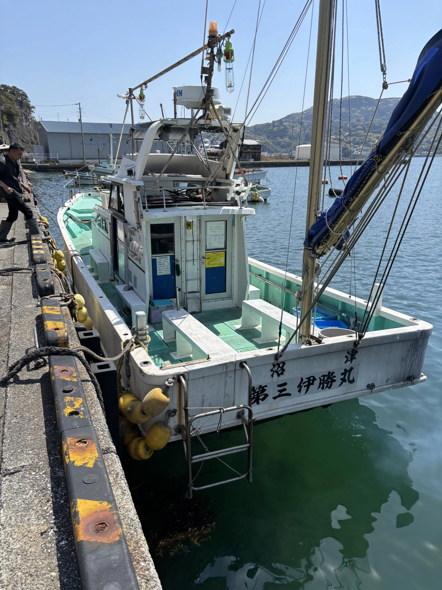 イシザキマコト MF-1301(2024 OPTICAL FRAMES COLLECTION VOL.2) | Products | Masaki