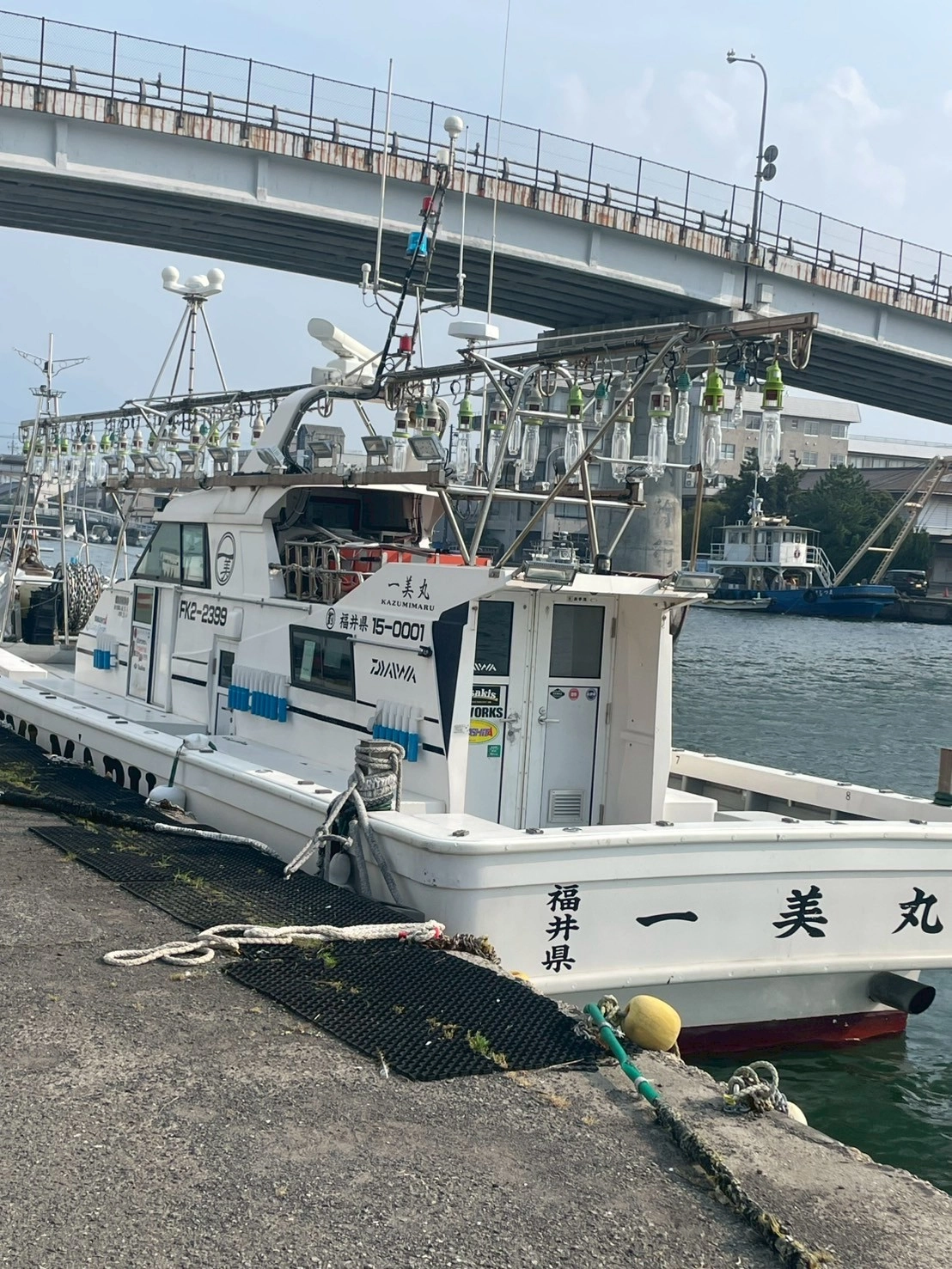 日本海イカメタル大爆釣!!!!】フレッシュな群れが入ってきました