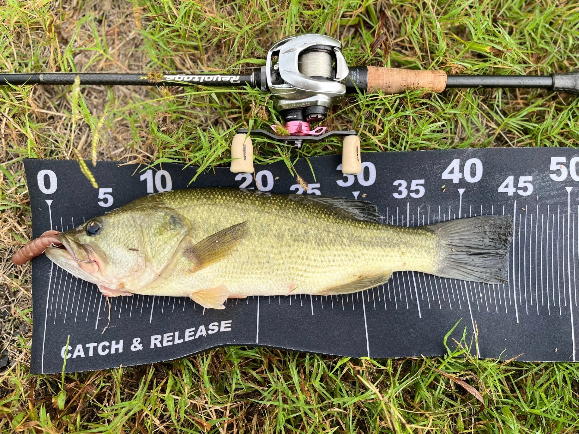 原点にして頂点！！deps「MSグラブ」入荷しました