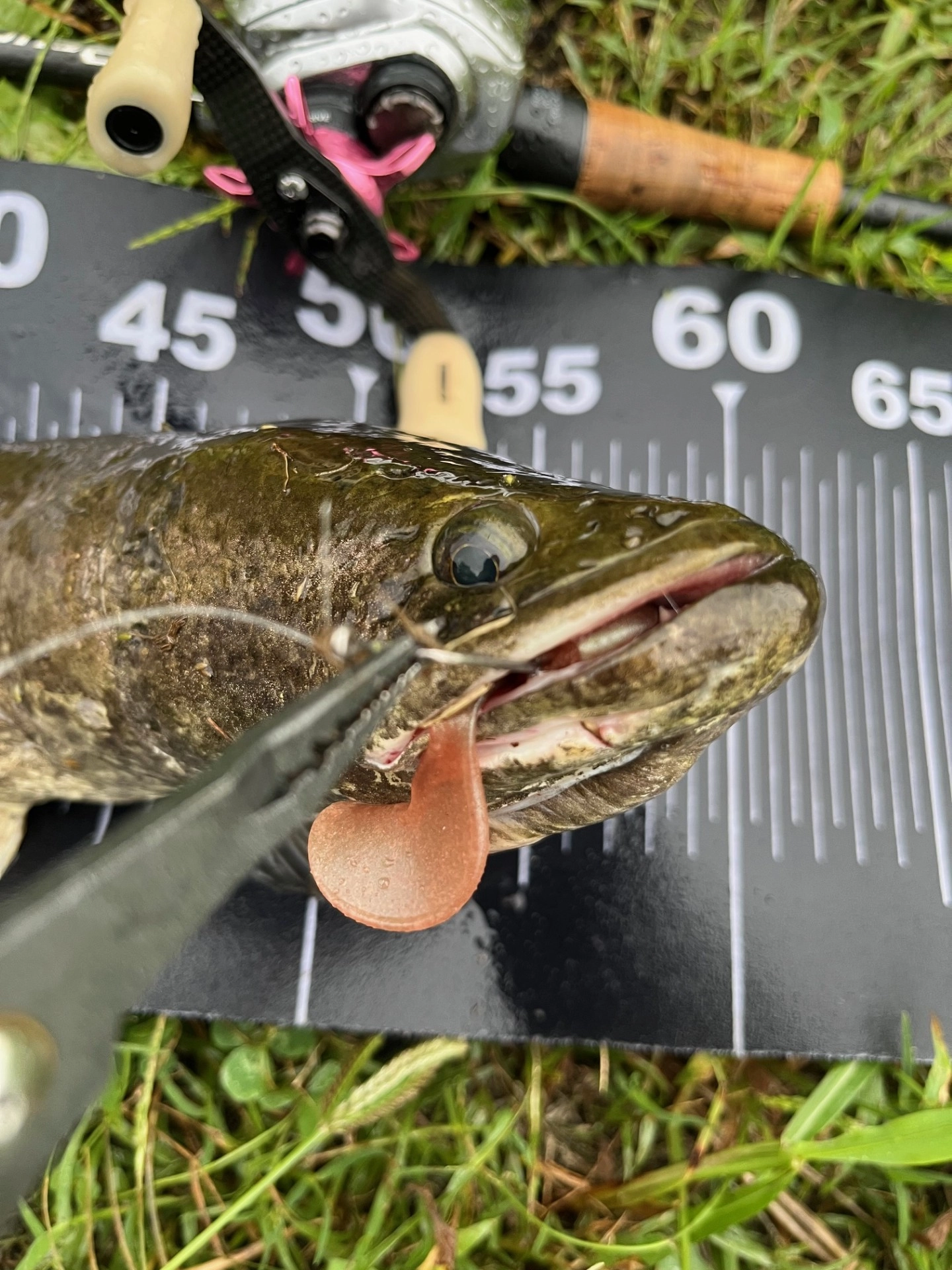 新品未使用！ deps MSグラブ 16袋 新品未使用！ deps MSグラブ 16袋 MS GRUB | deps OFFICIAL HP | デプス