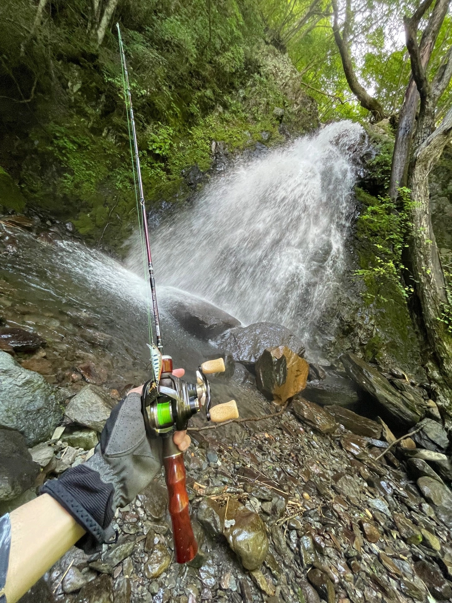 2025渓流ルアー釣行vol.6 in木曽川漁協 | 釣具のイシグロ | 釣り情報サイト