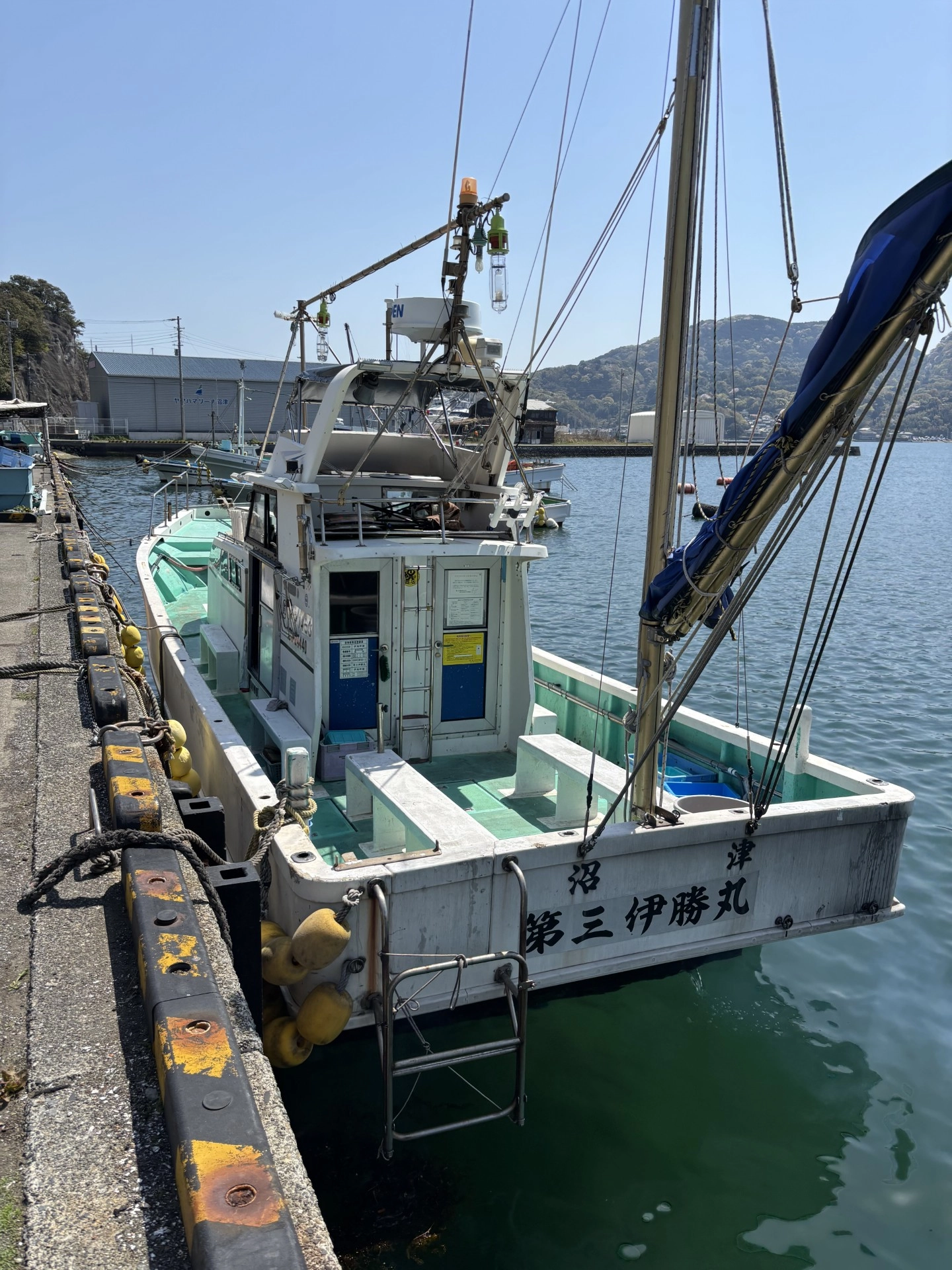 デカアジ浮上！！沼津湾内コマセ釣りが激アツ！！ | 釣具のイシグロ