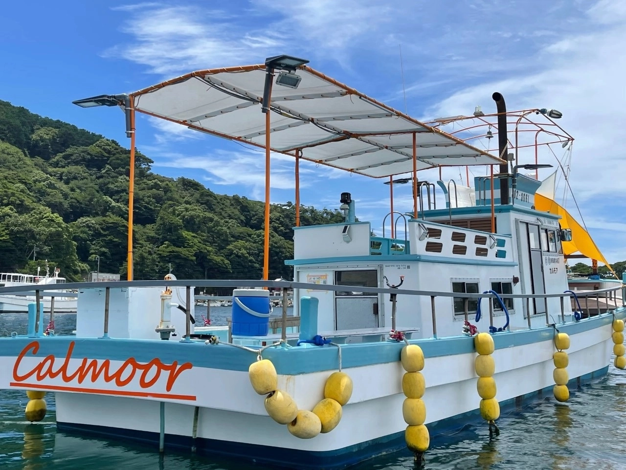 ☆ 夏を満喫 夏休みおススメ 船上ピクニック＆釣り 戸田係留船