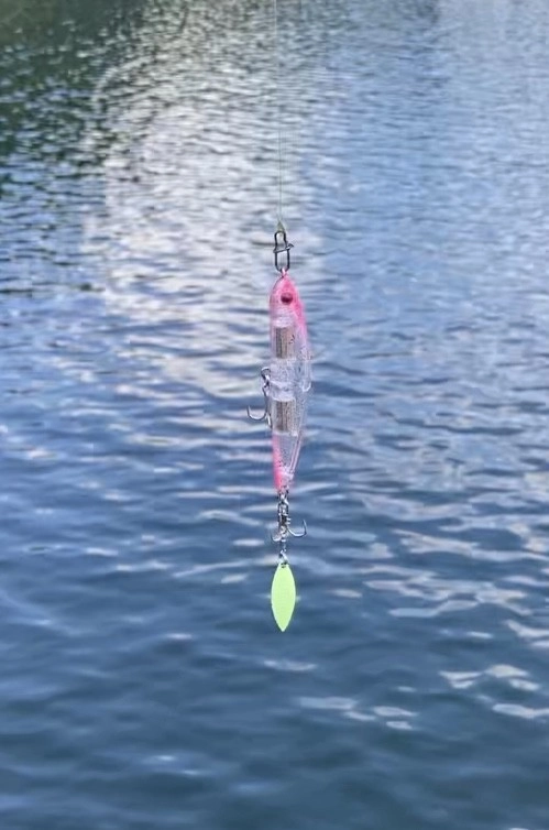 河口湖ブラックバス放流しました！！Tsulino FLAIRで連発！！！ | 釣具