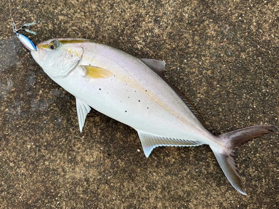 4.jpg.webp?itok=Pb8QrKkM