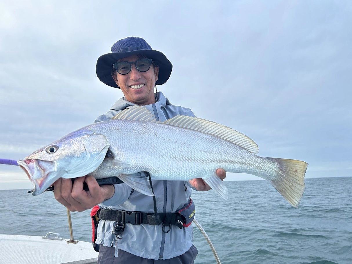 ☆ 25年秋白甘鯛シーズン開幕♪ 今シーズンはアマラバが面白い