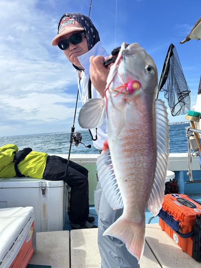 ☆ 25年秋白甘鯛シーズン開幕♪ 今シーズンはアマラバが面白い