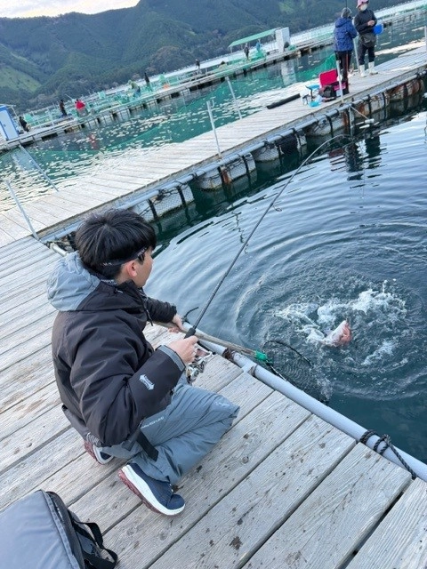 三重県と言えば海上釣堀天国♪㏌貞丸～真鯛無双～ | 釣具のイシグロ