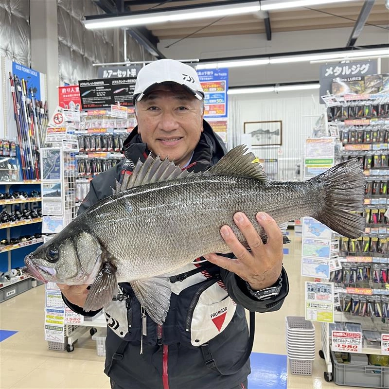 イシグロ伊東店】スタッフ菊間釣果!東伊豆堤防泳がせで巨大メバル