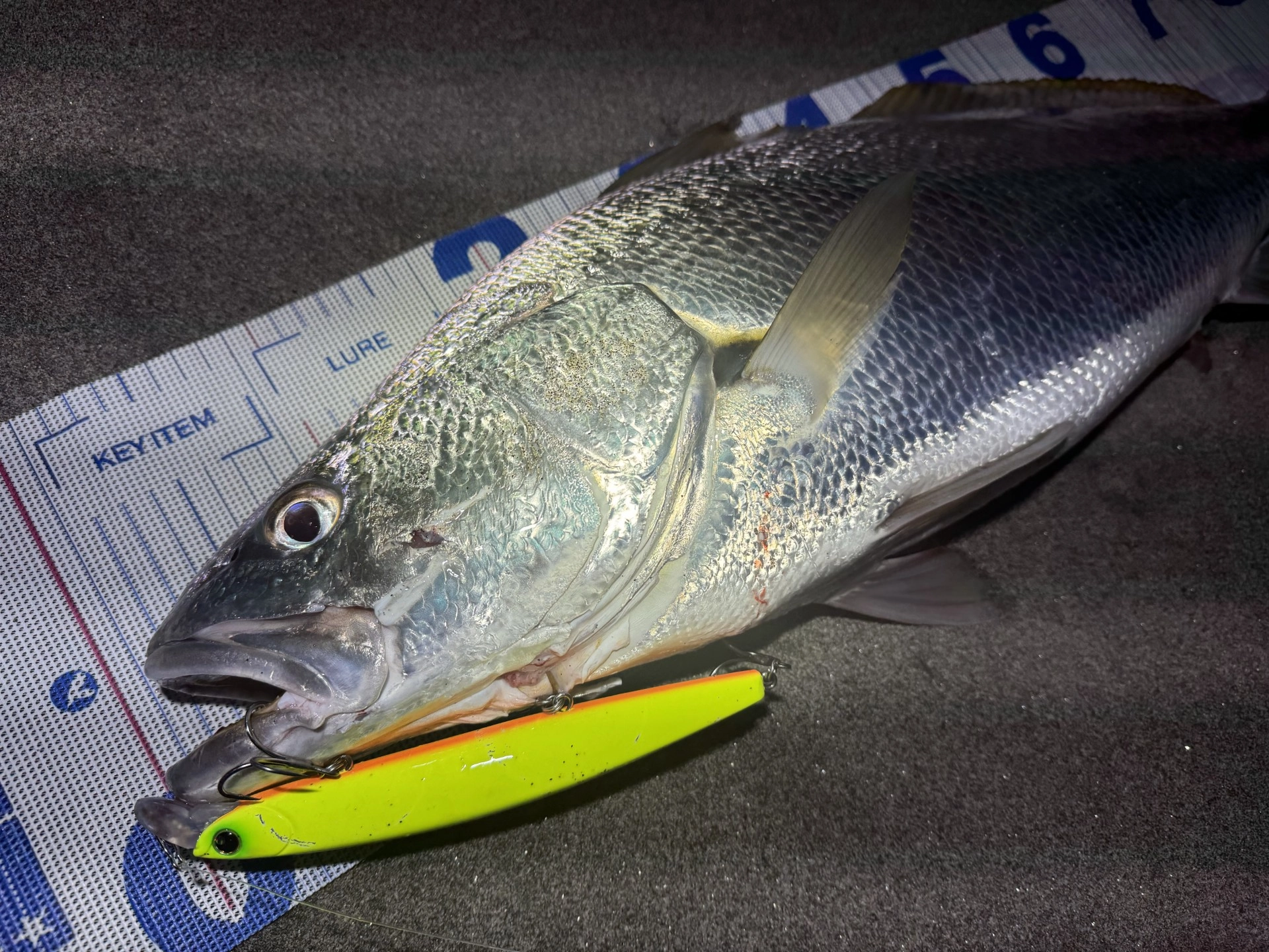 サーフ　ルアー　セット　シーバス　ヒラメ　マゴチ ルアー メタルバイブ セット 5g 15g 50mm 70mm リアル ベイト シーバス