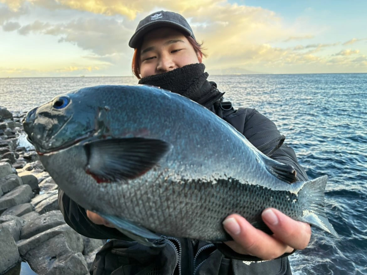 東伊豆地磯でフカセ釣りに行ってきました！ | 釣具のイシグロ | 釣り