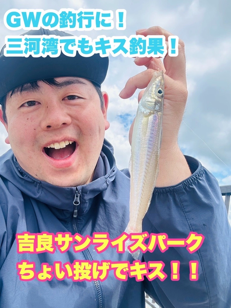 三河湾でもキス開幕！！吉良サンライズパークでちょい投げキス釣果