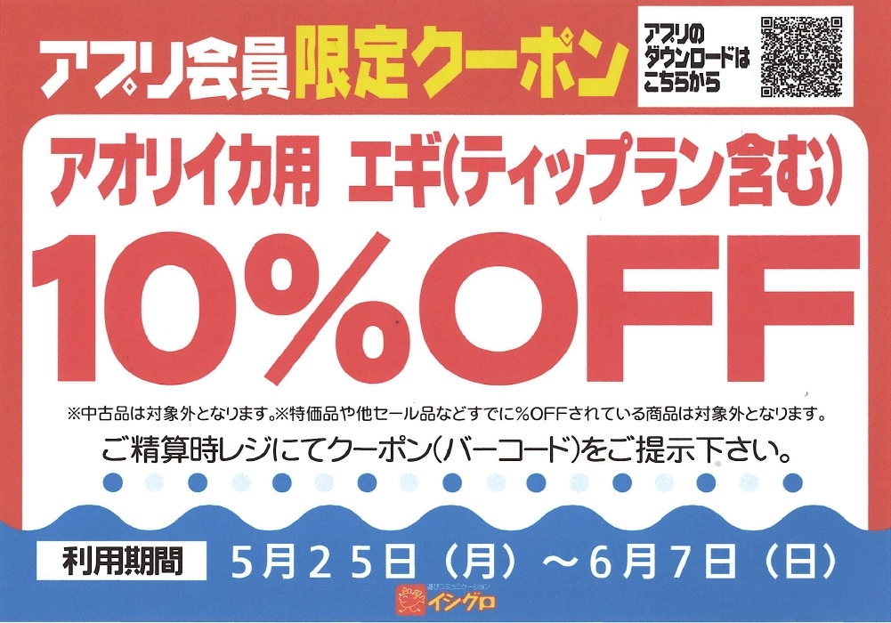 あと1週間？！ エギング・ティップラン用エギをお得に買えちゃう