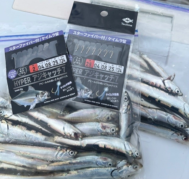 2026GW 浜名湖新居海釣り公園 サビキ絶好調♪ | 釣具のイシグロ | 釣り