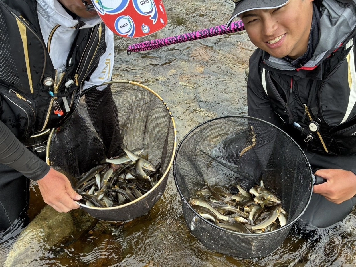 益田川上流漁協鮎釣り】飛騨高山の美峰鮎が63匹の入れ掛かり！ | 釣具