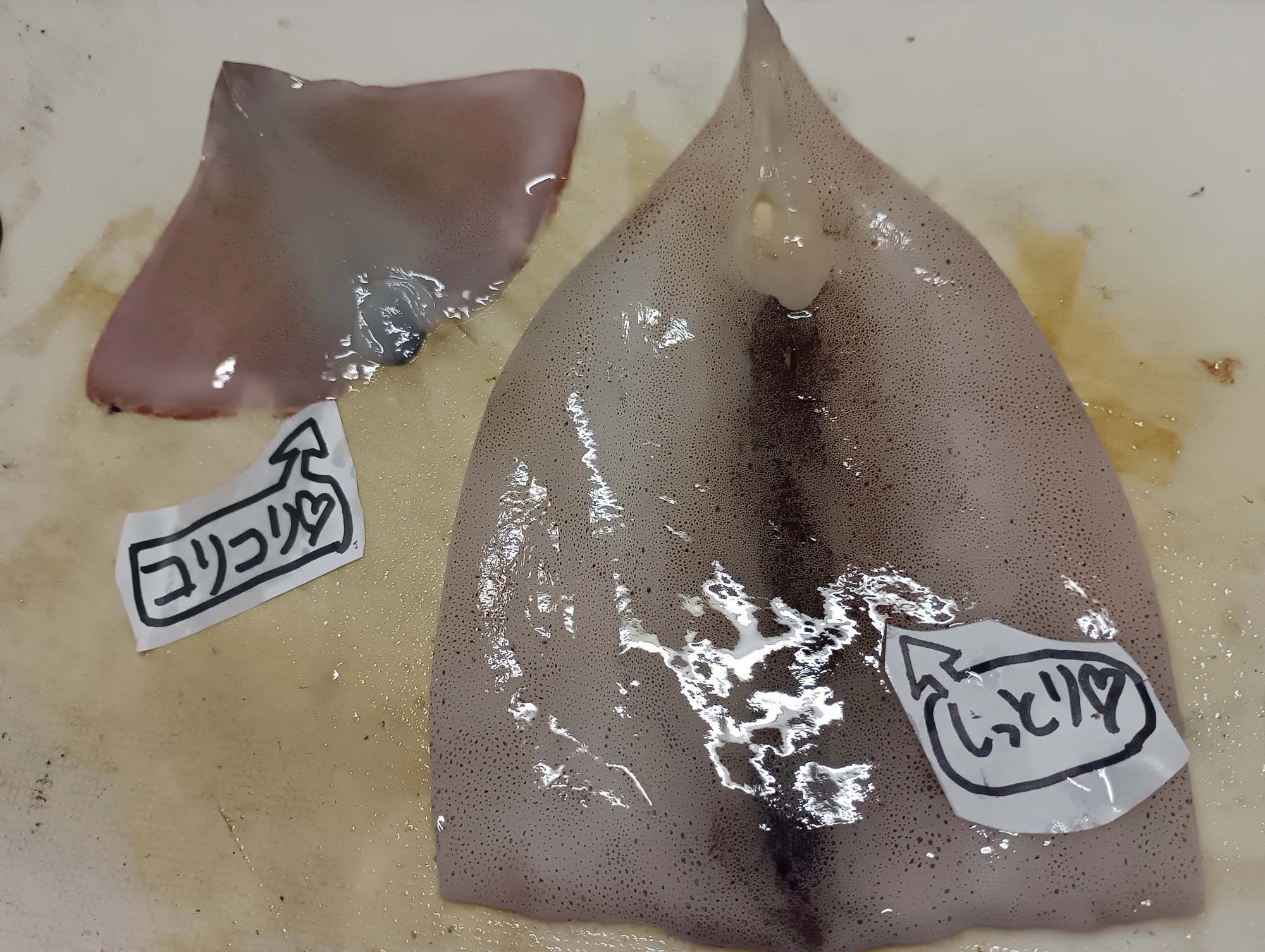歯ごたえ違うね♪