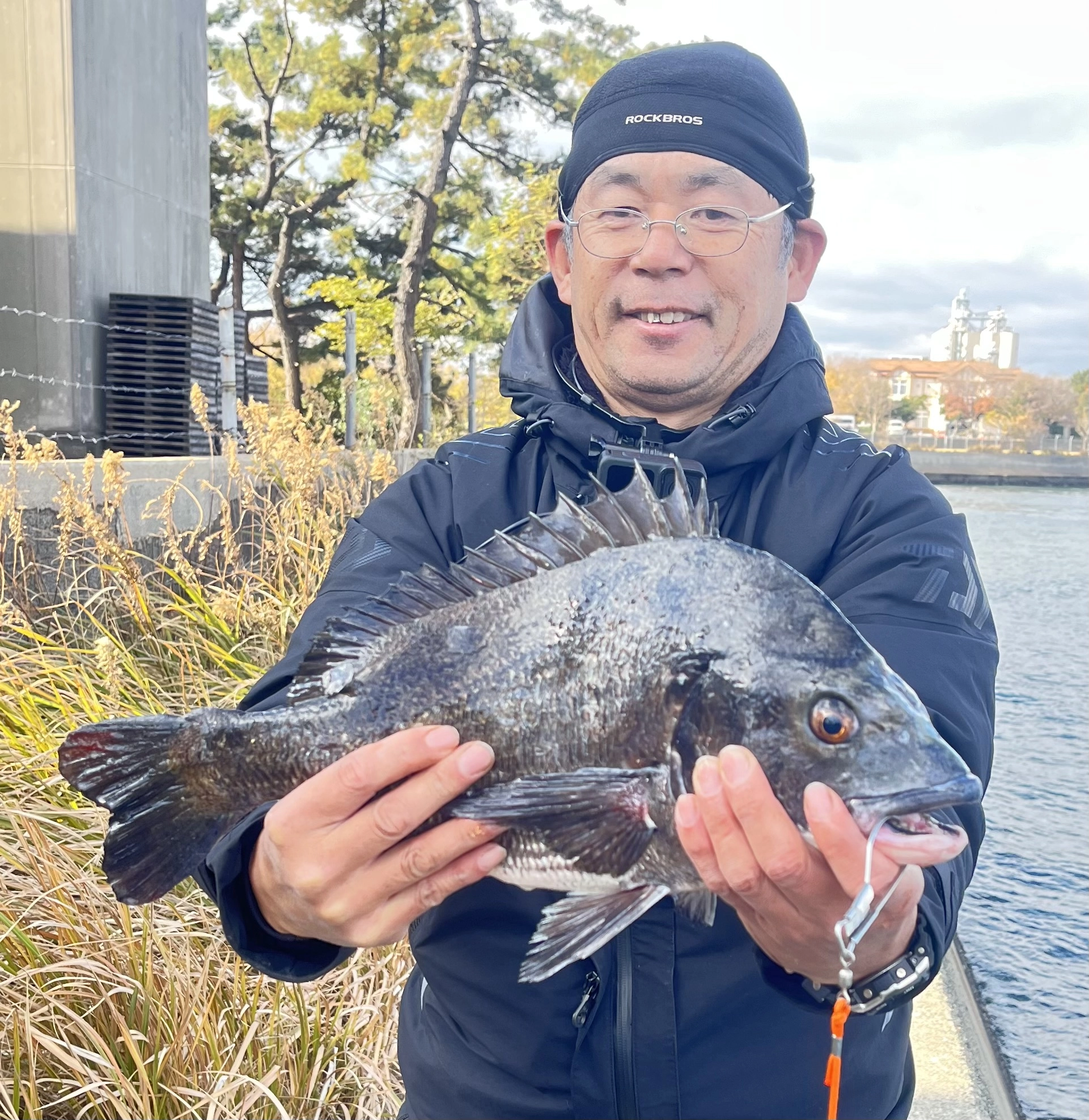 居付きクロダイ釣れました