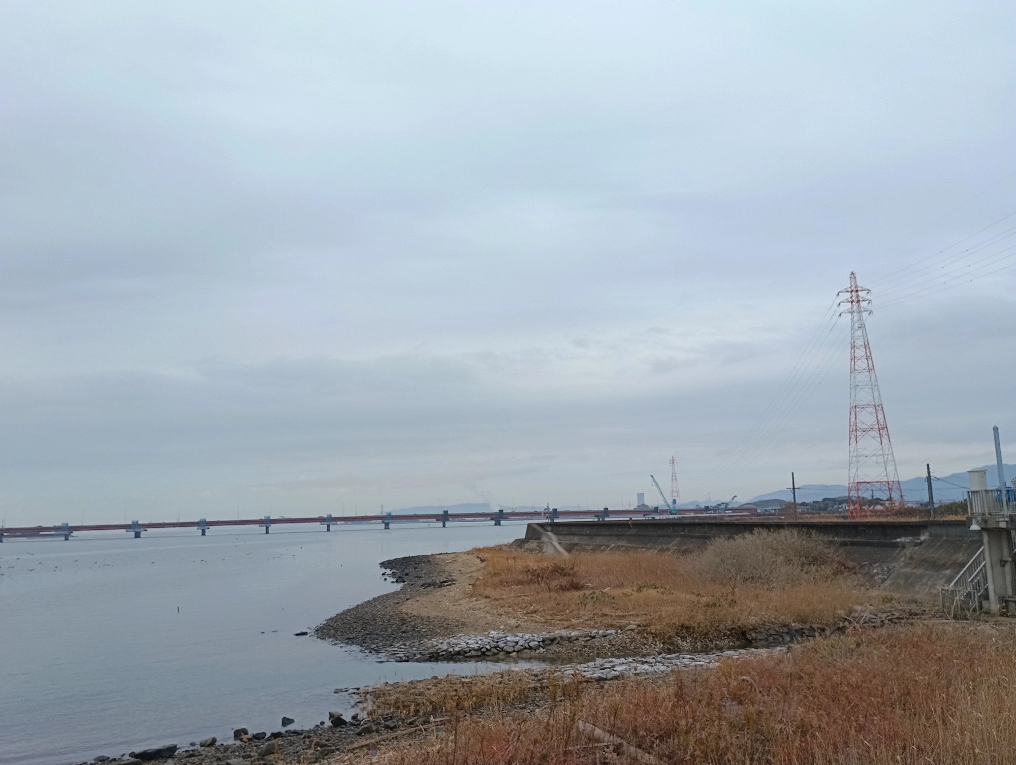 河口