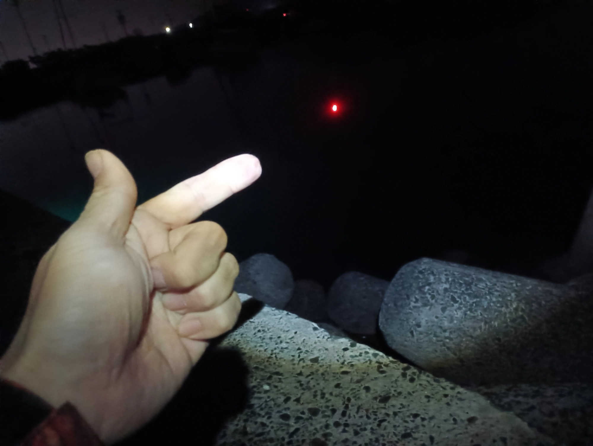 電気ウキ