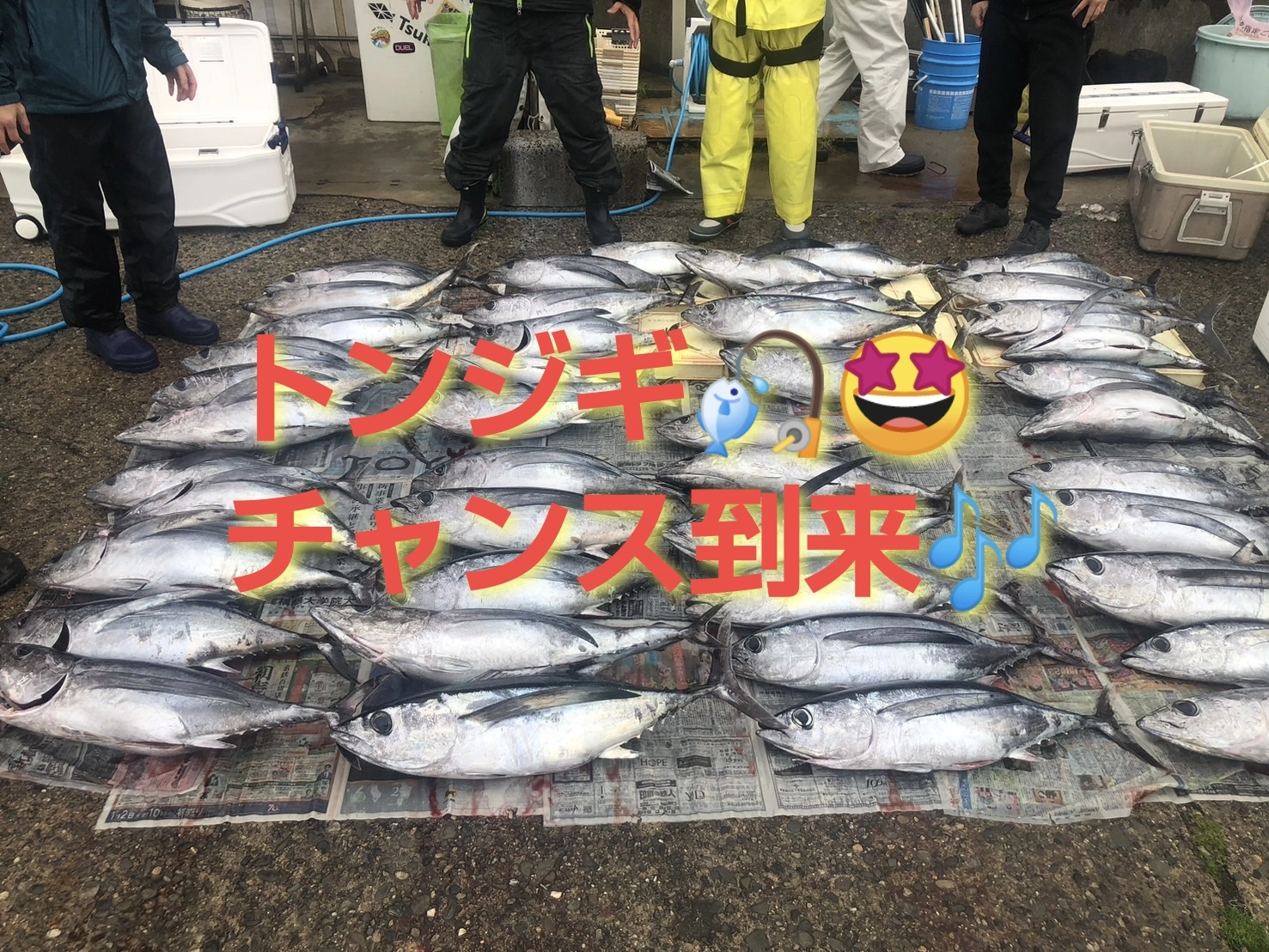 全員クーラー満タンです。