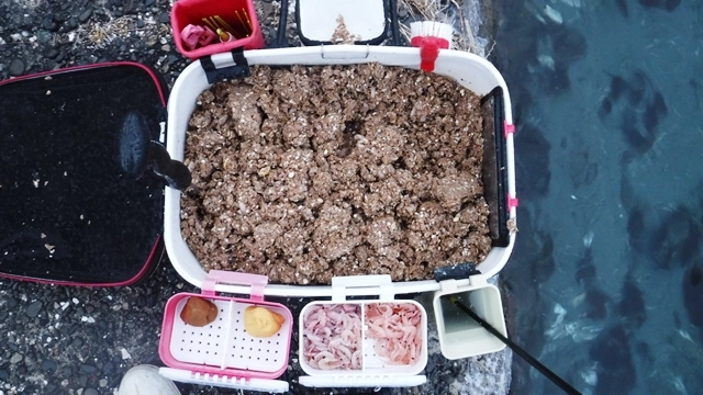 雨予報なので、水分を控えた練り加減。配合2.5袋+押麦1㎏+オキアミ3㎏×1