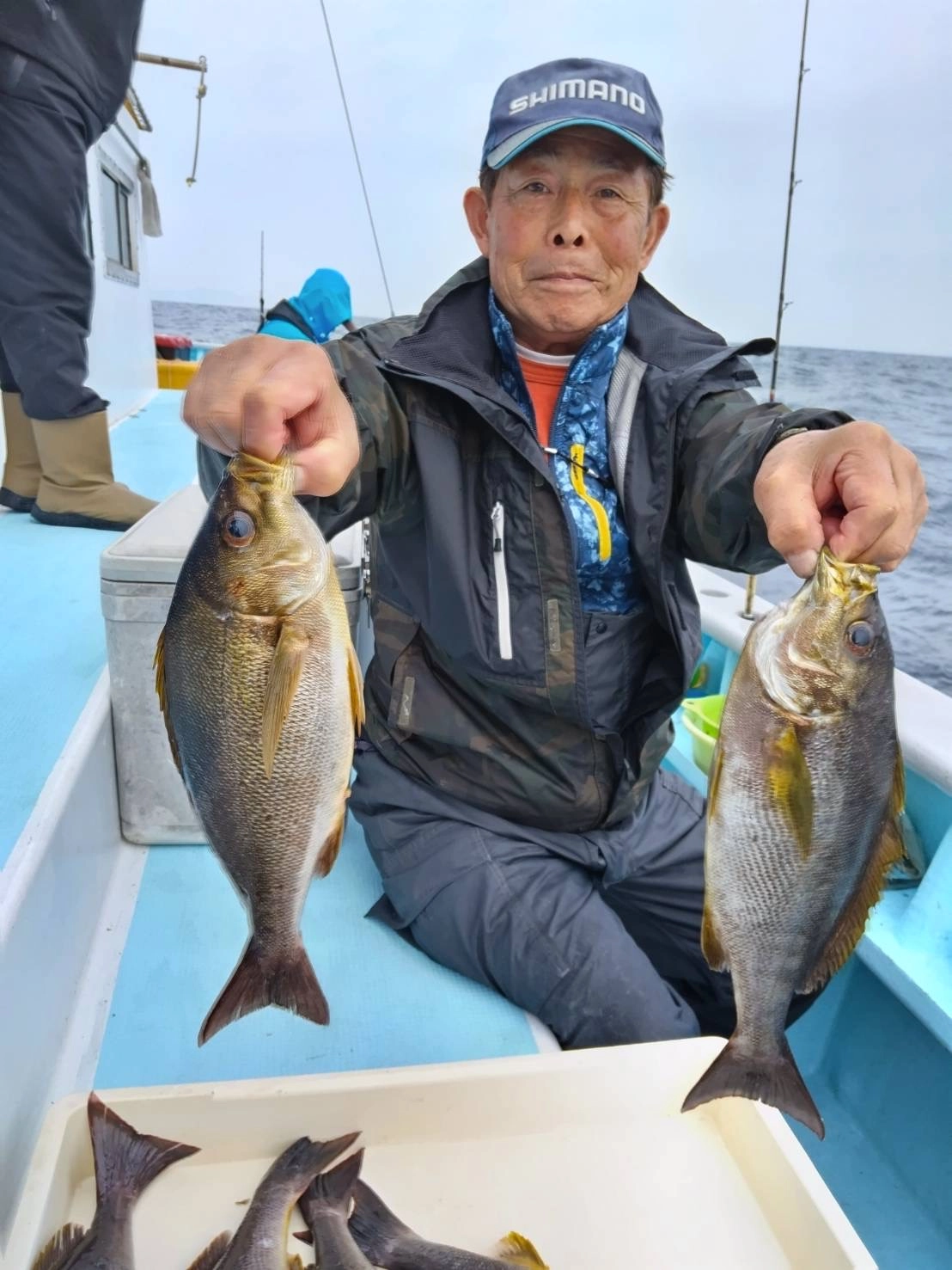 まだまだ走りのイサキですがサイズが良いッ(・∀・)