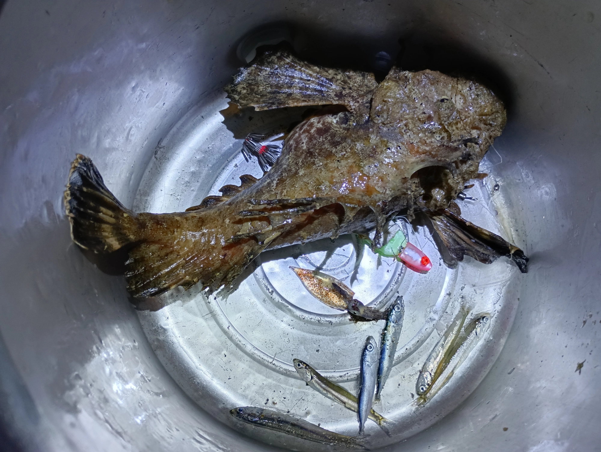 でも感謝