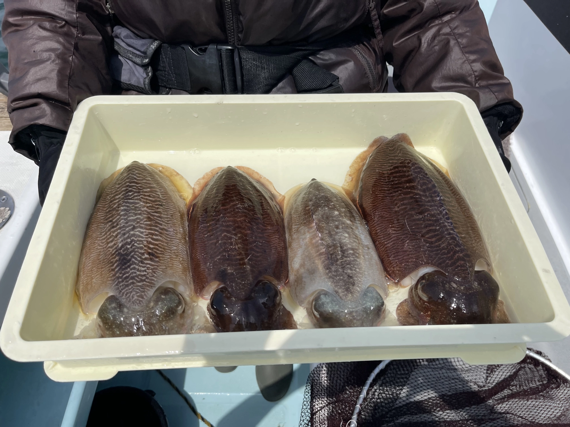 お匿名様は仕掛けにひと工夫ッ(・∀・)b