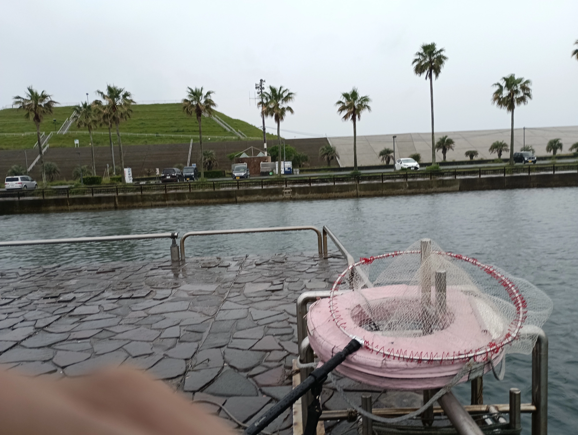 雨天だね