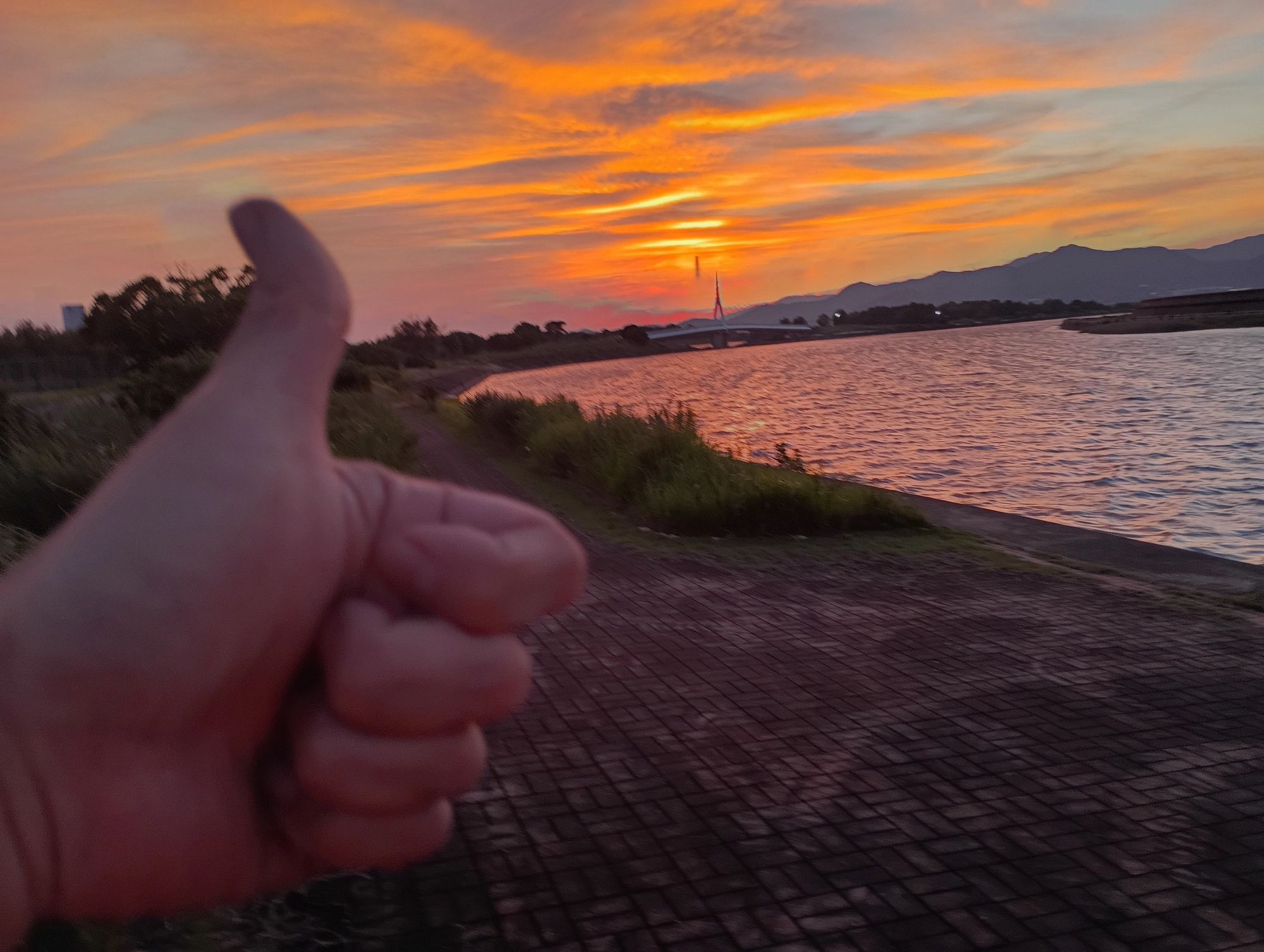 夕方in♪