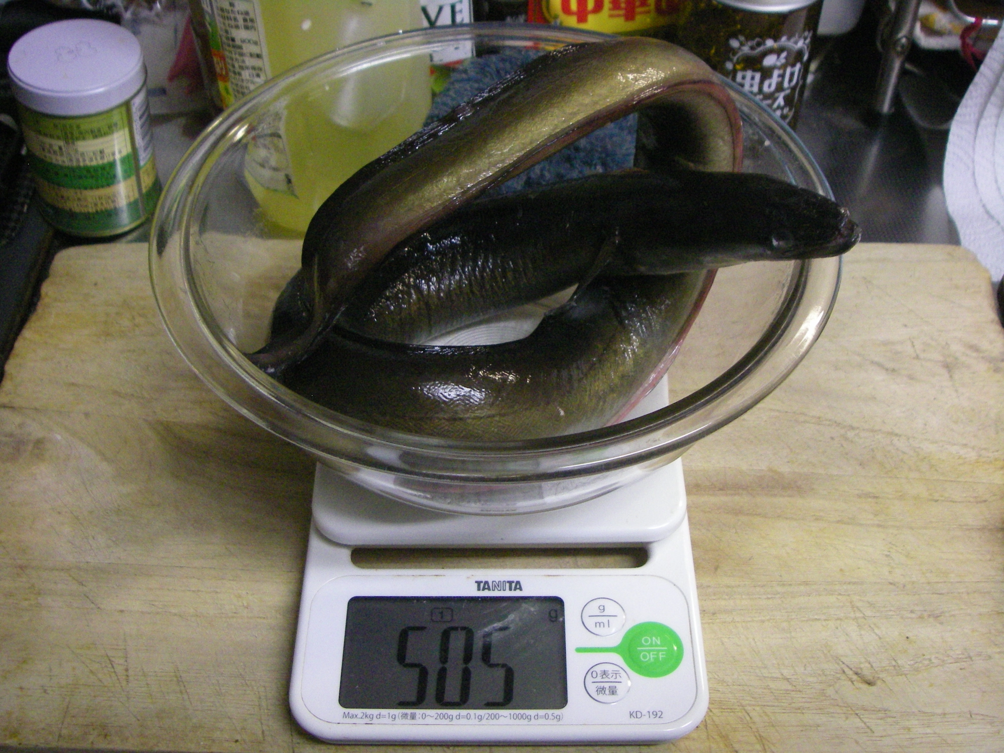 505g