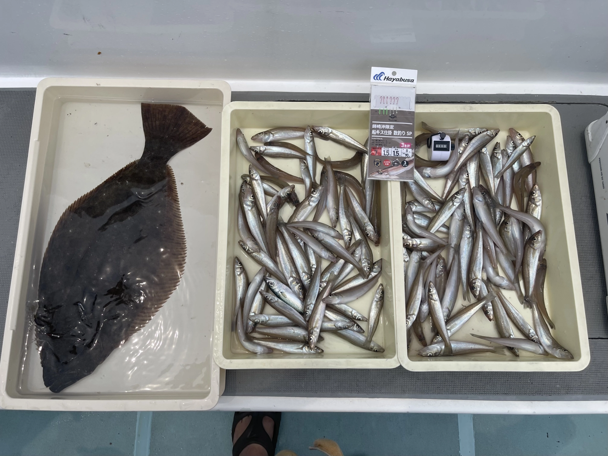 イシグロ 武丸鱚コラボ仕掛けは丈夫ですからヒラメも上がっちゃうッ٩( ᐛ )و